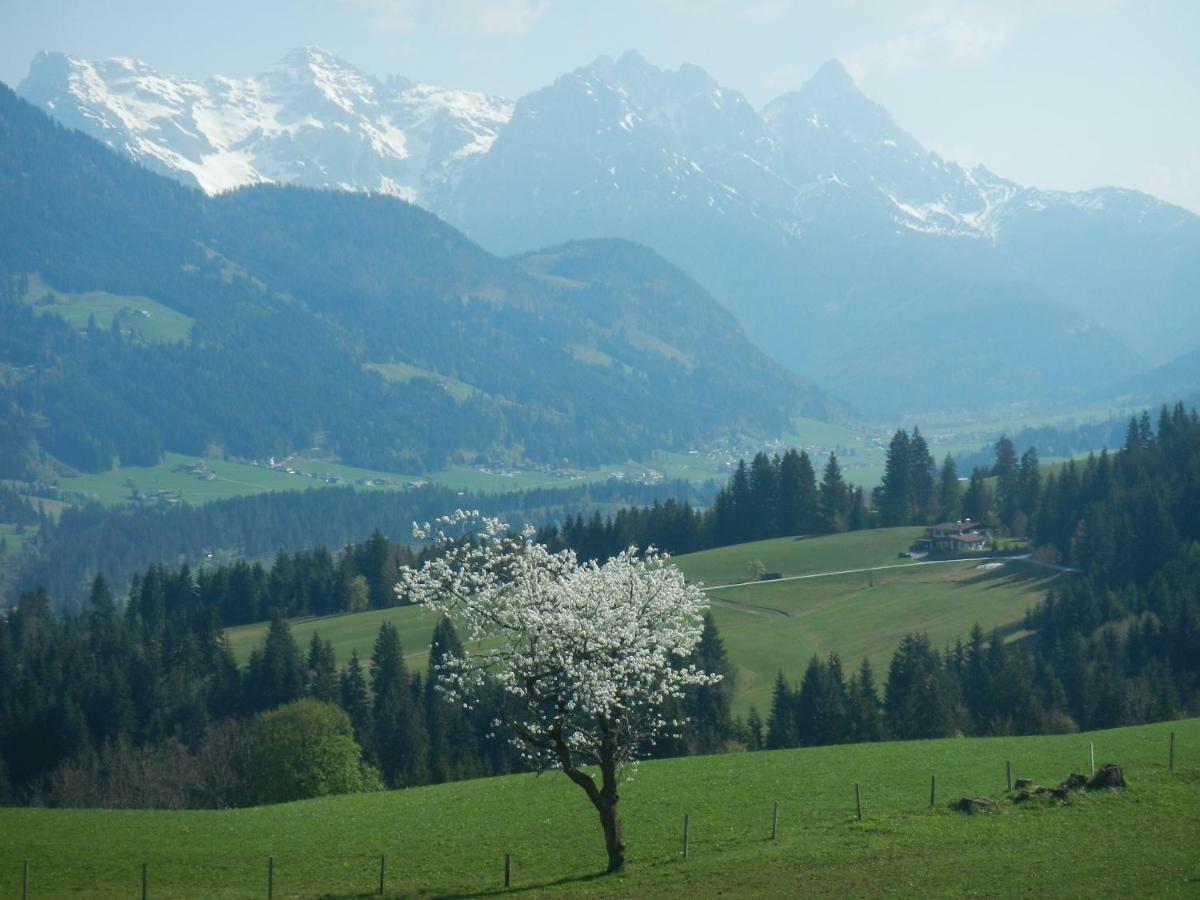 Ferienwohnung Baerfeld Fieberbrunn Buitenkant foto